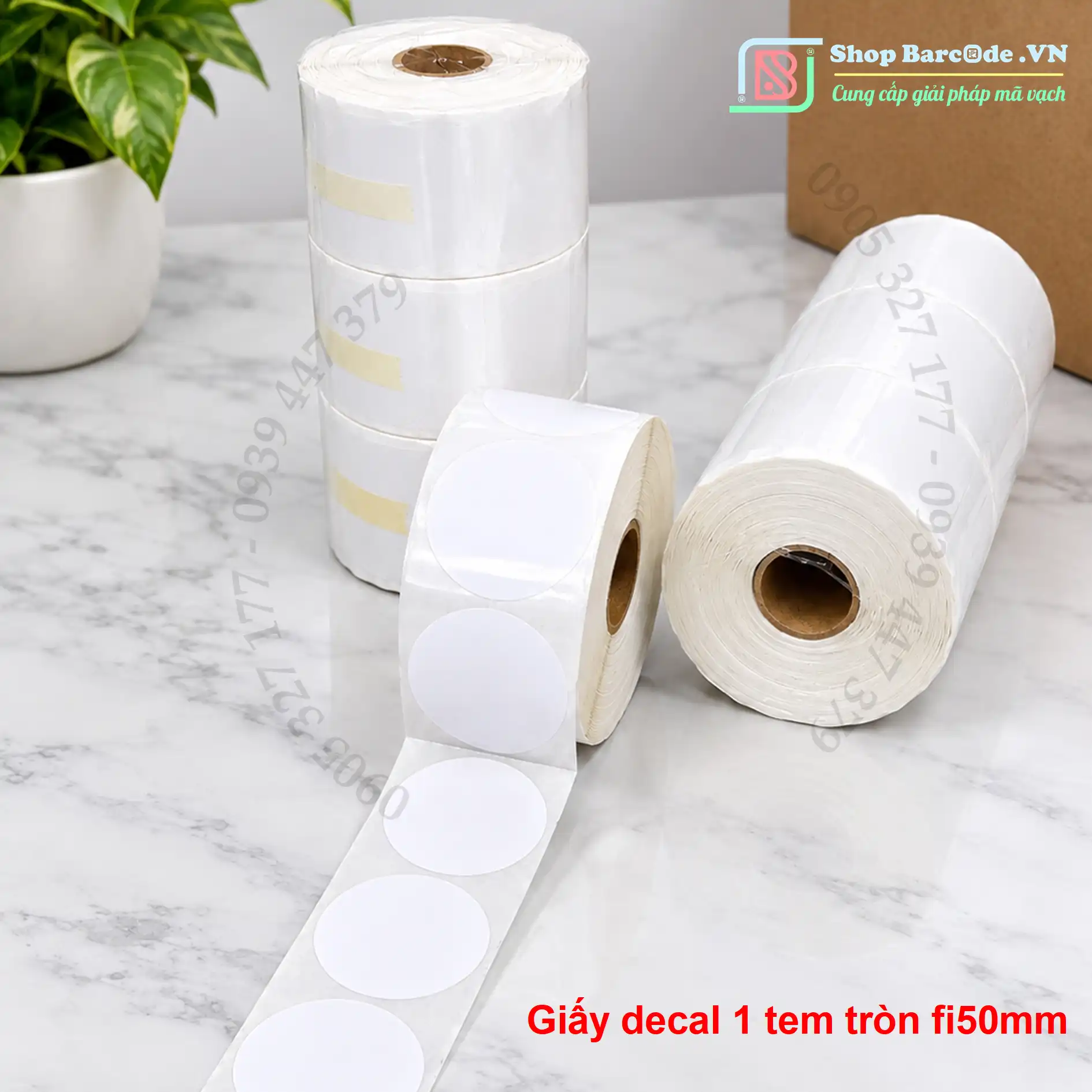 giấy-decal-tem-tròn-fi50-50m